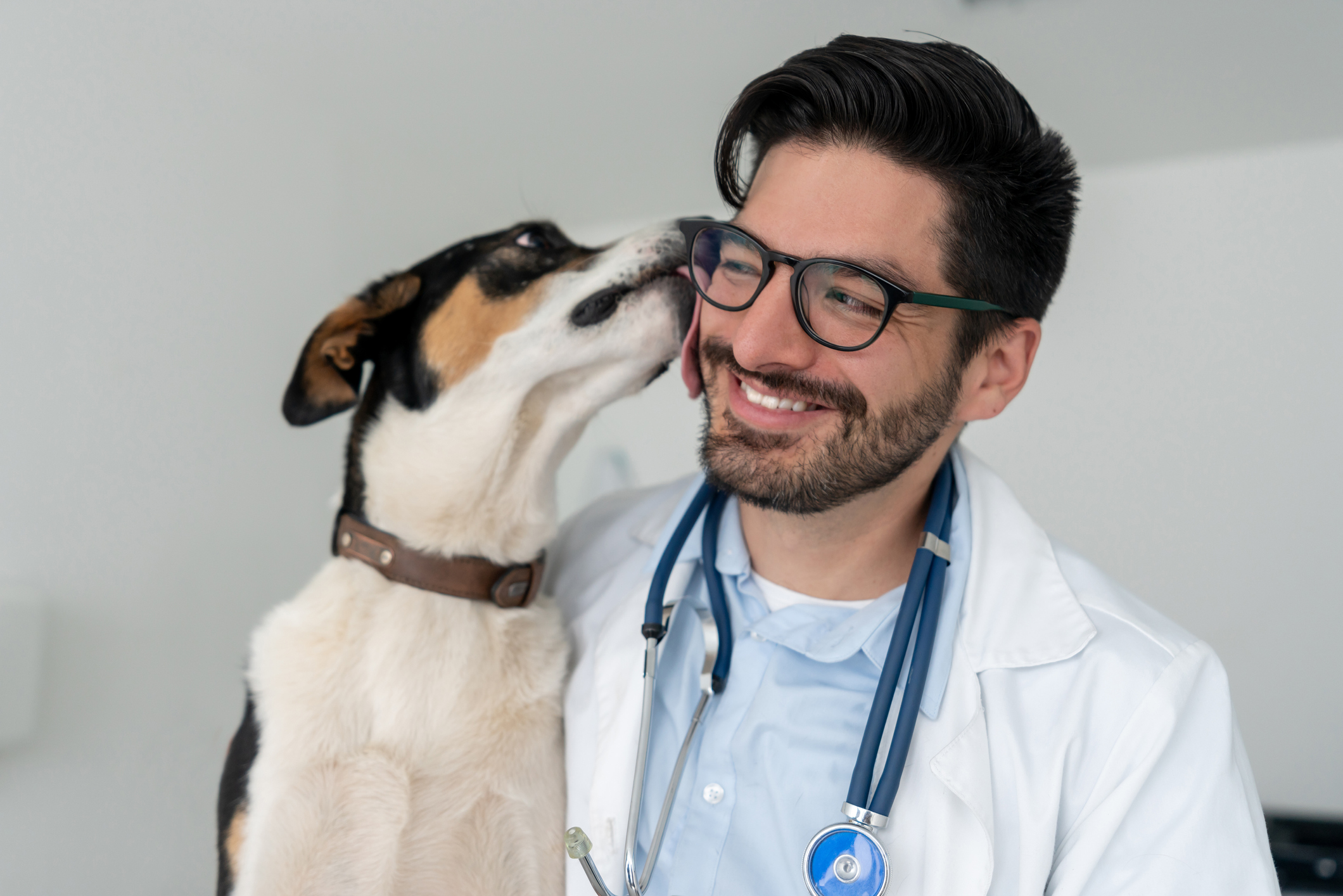 Medicina Veterinária na PUC Minas – vantagens e como funciona