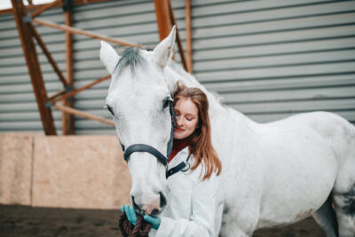 Animais de grande porte: conheça essa área da Medicina Veterinária